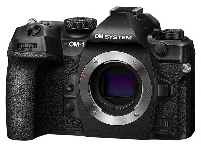 OM1ii.jpg